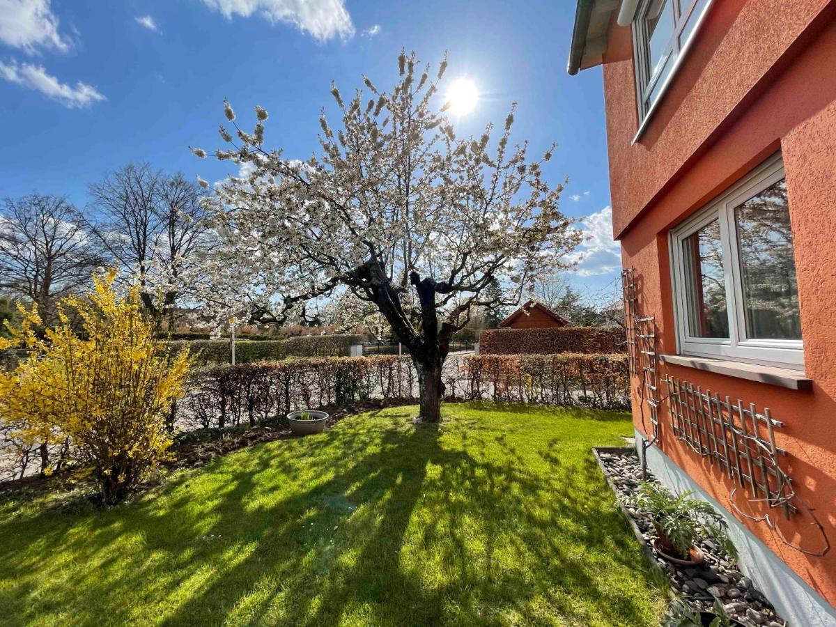 Villa Lotte Ліхтенфельс Екстер'єр фото
